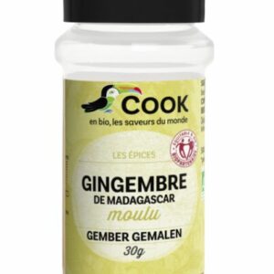 Gingembre moulu équitable et bio 30g