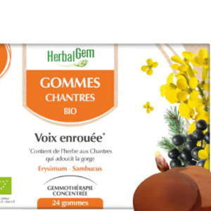 Gommes chantres boite de 24 gommes